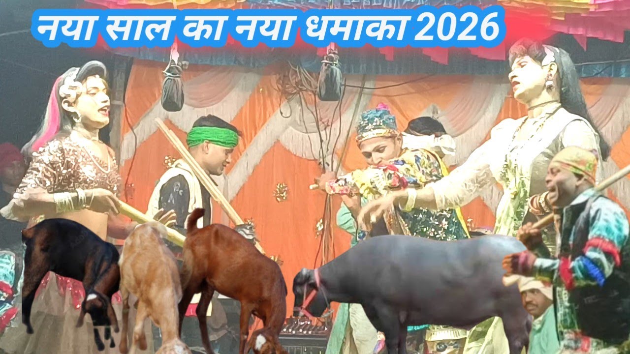 नया साल का नया धमाका सुपर हिट कॉमेडी अंड गाना 2026