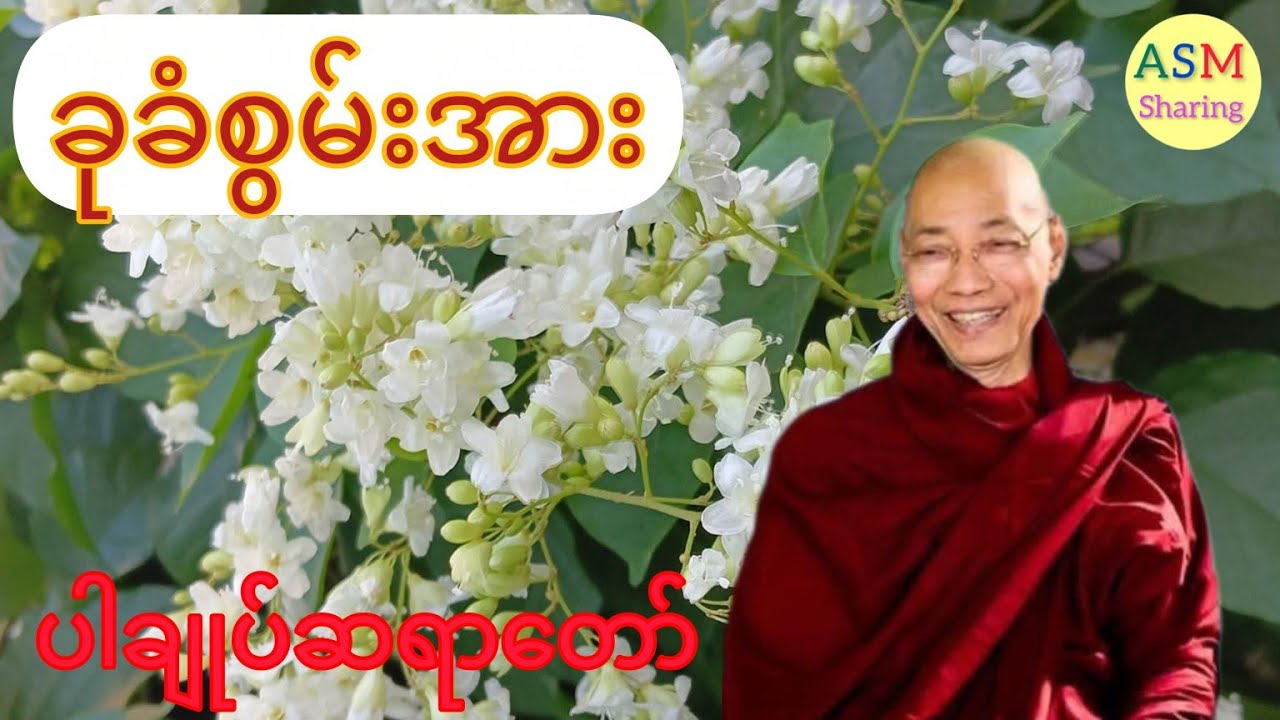 ခုခံစွမ်းအား (ပါမောက္ခချုပ်ဆရာတော်ဘုရားကြီး) #asmsharing