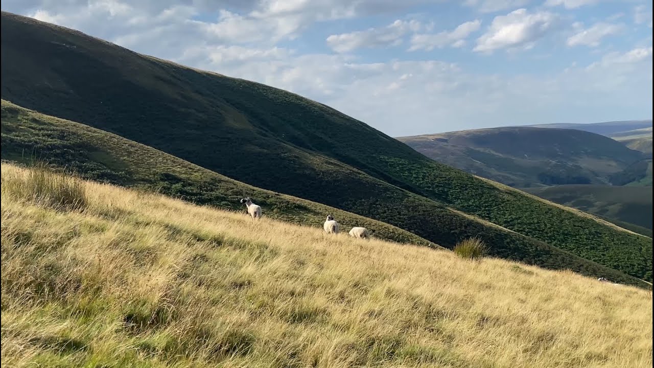 Langden Round, Forest of Bowland, August 2025