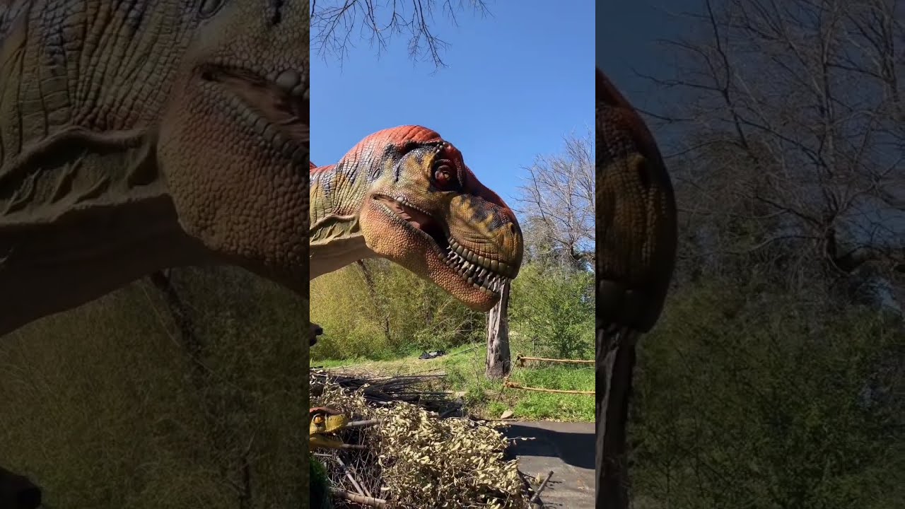 Nicholas Brac Checks Out Dinosaurs at Dallas Zoo