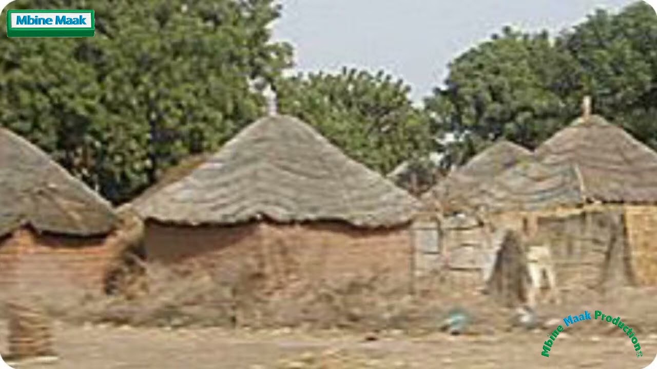 100% son lutte traditionnelle (partie 202)