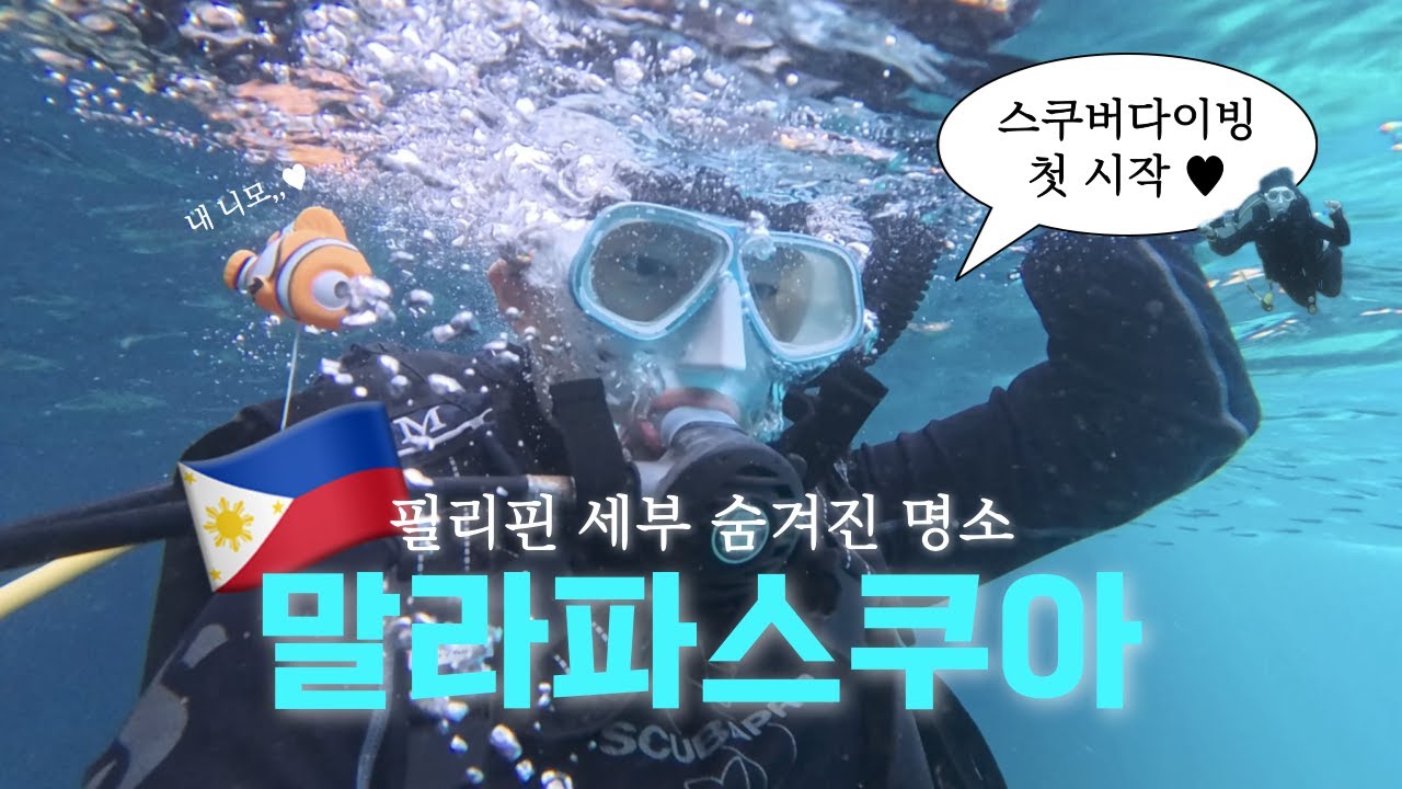 필리핀 세부 말라파스쿠아🇵🇭 물친자라면,, 무조건 가봐야하는 다이버들의 성지🤿