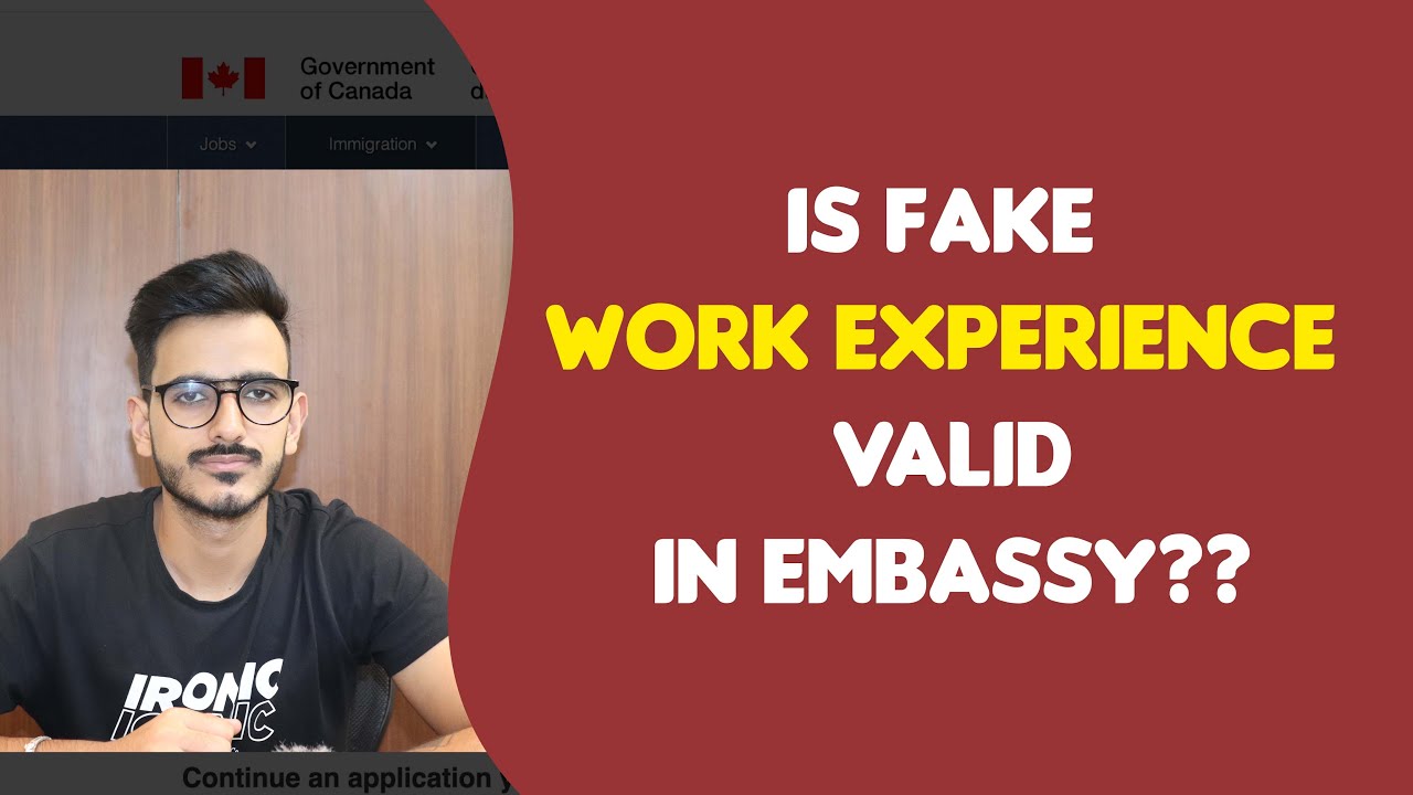 HOW TO FILL GAP IN VISA APPLICATION !! FAKE WORK EXPERIENCE ??