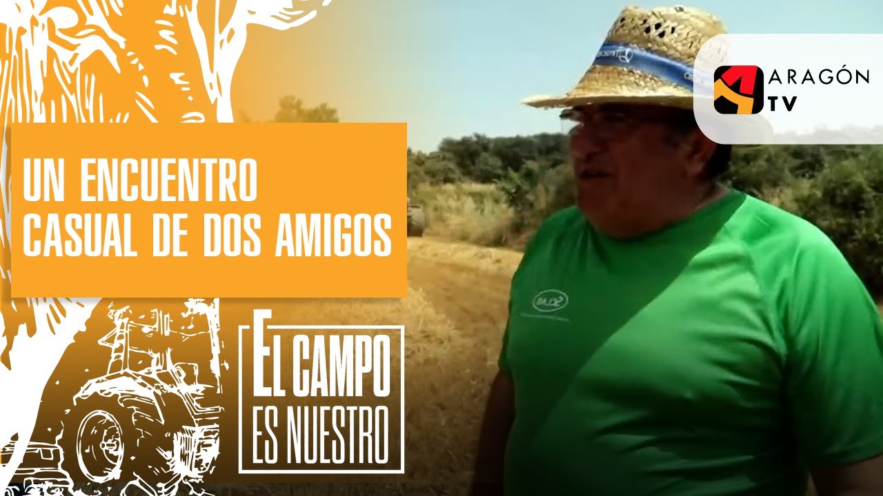 Un encuentro casual de dos amigos para cosechar el mismo campo.