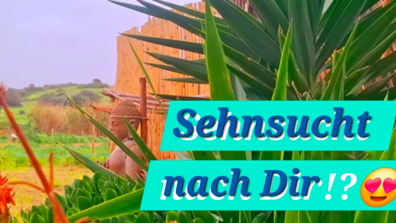 🌹😍Man(n) sehnt sich nach Dir!?😍 LIEBESORAKEL SEELENIMPULS ❤️