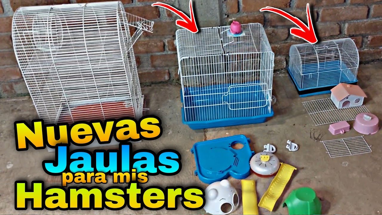 Compre una JAULA para mis HAMSTERS!