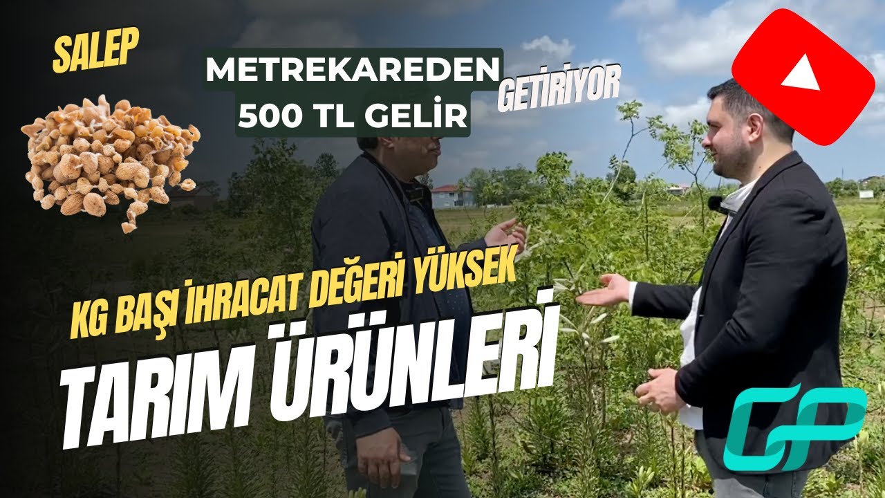 500 Metrekareden 250 Bin TL Kazanç Sağlayan Stratejik Bitki Salep - Tarım Girişimciliği