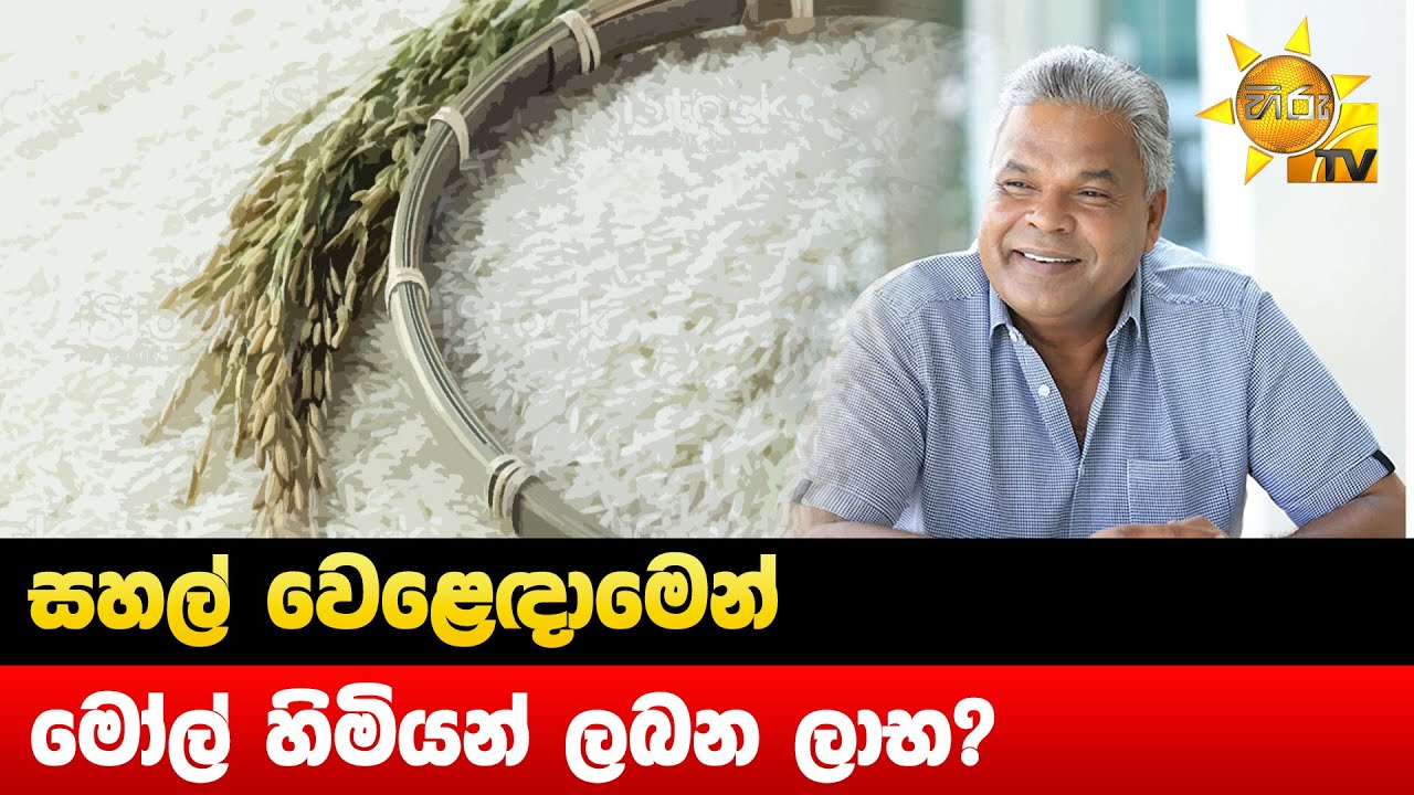 සහල් වෙළෙඳාමෙන් මෝල් හිමියන් ලබන ලාභ? - Hiru News
