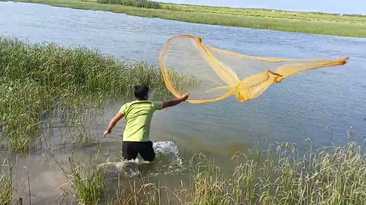 Traditional Net Fishing in River | Amazing Cast Net Throwing Skills