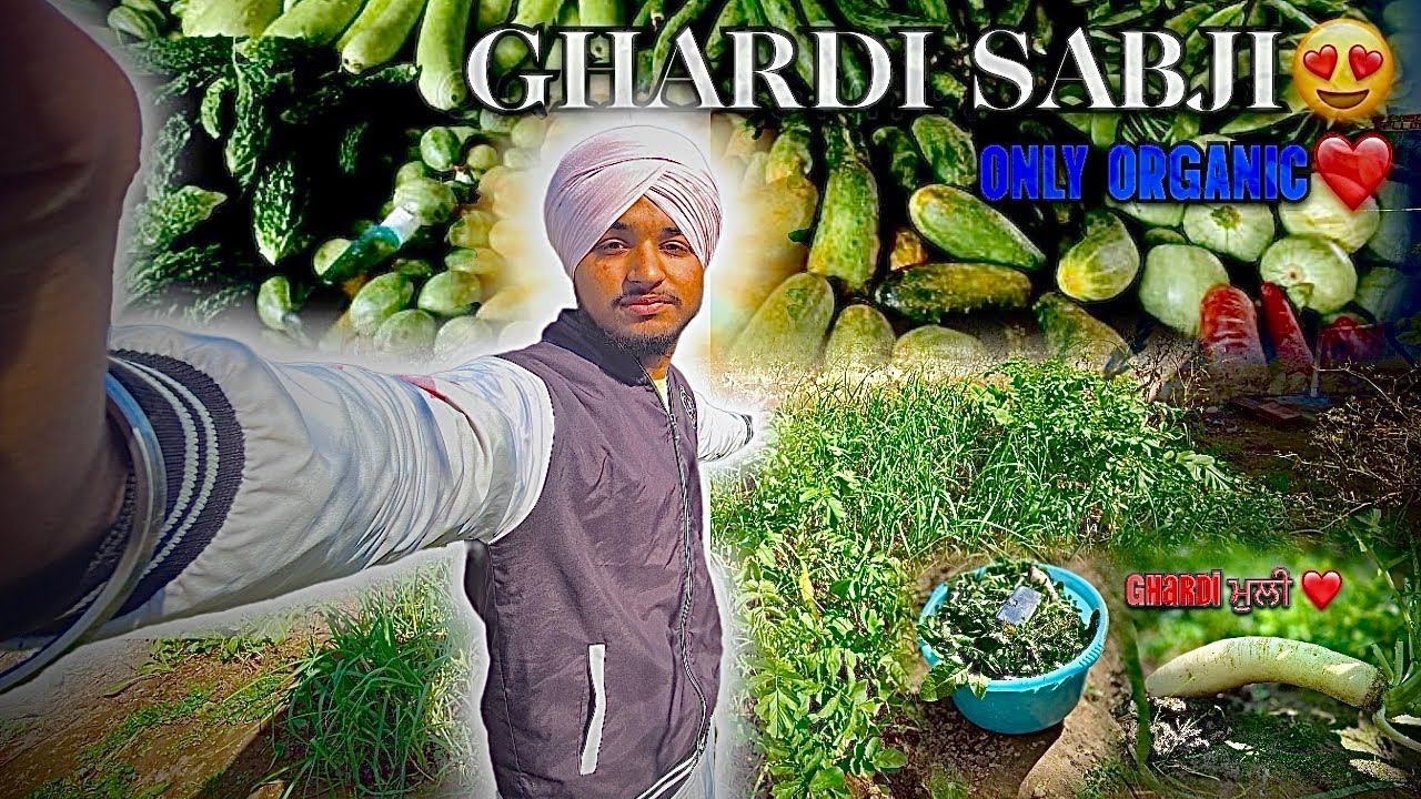 day-161❤️GHARDI SABJI😍