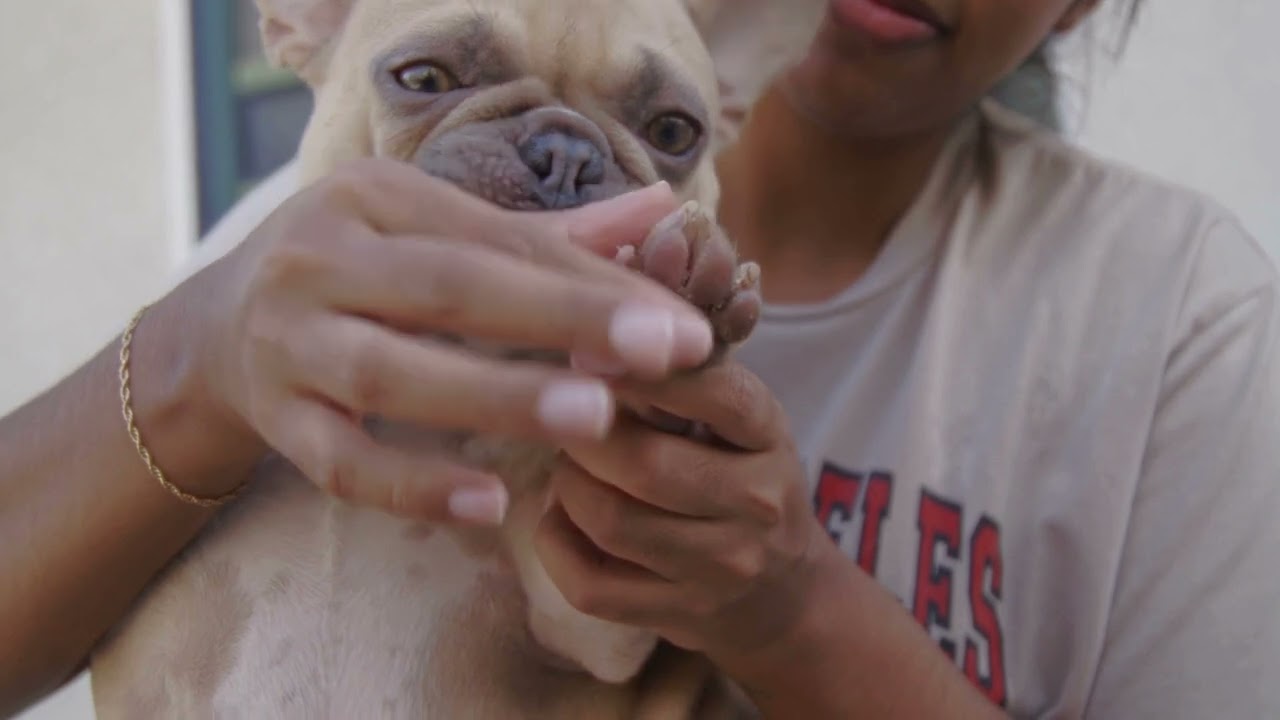 Bath time + soothing care for pets with sensitive skin.