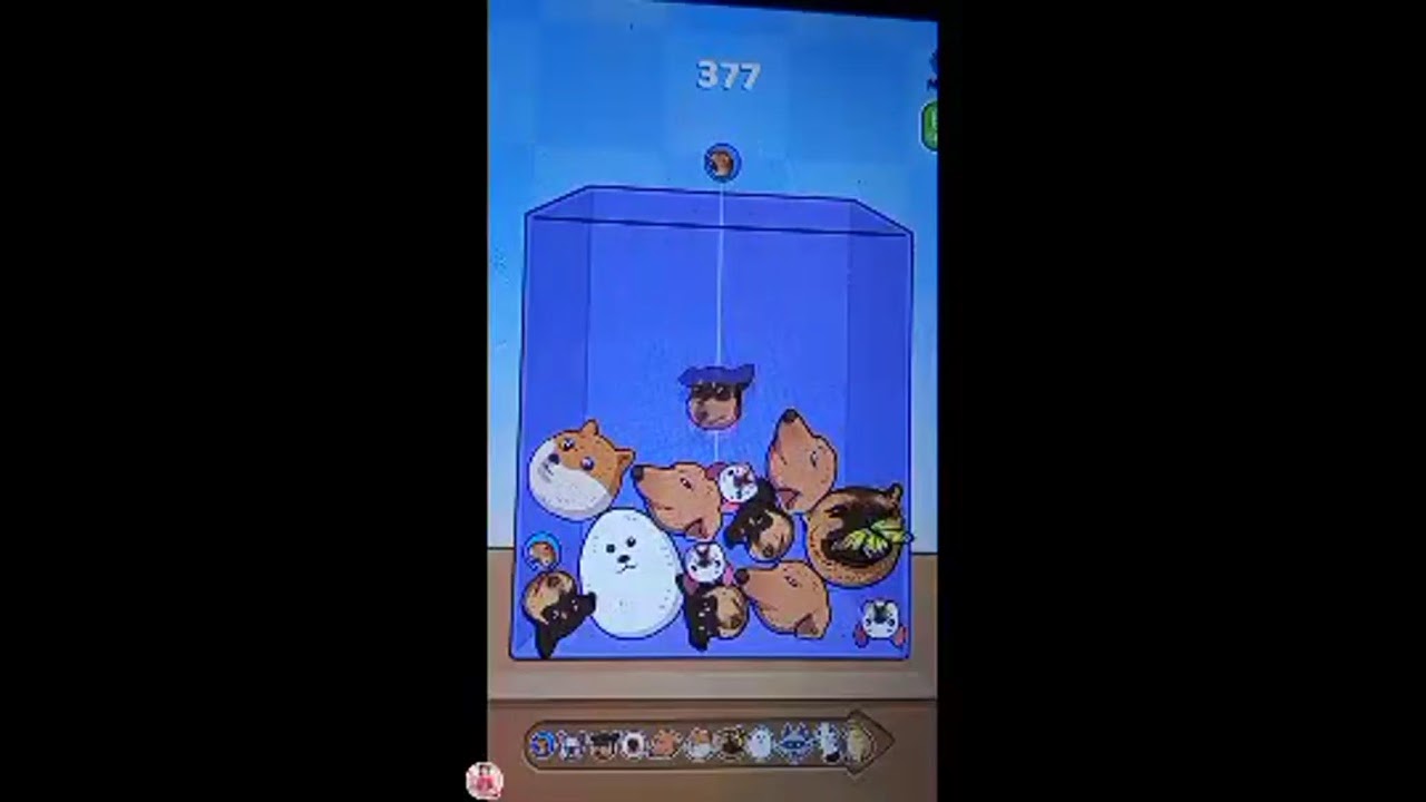 Jamaiahprincess is live!