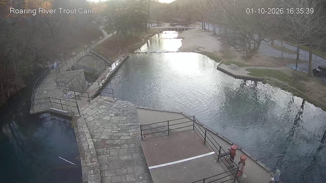 Official Roaring River - Trout Cam
