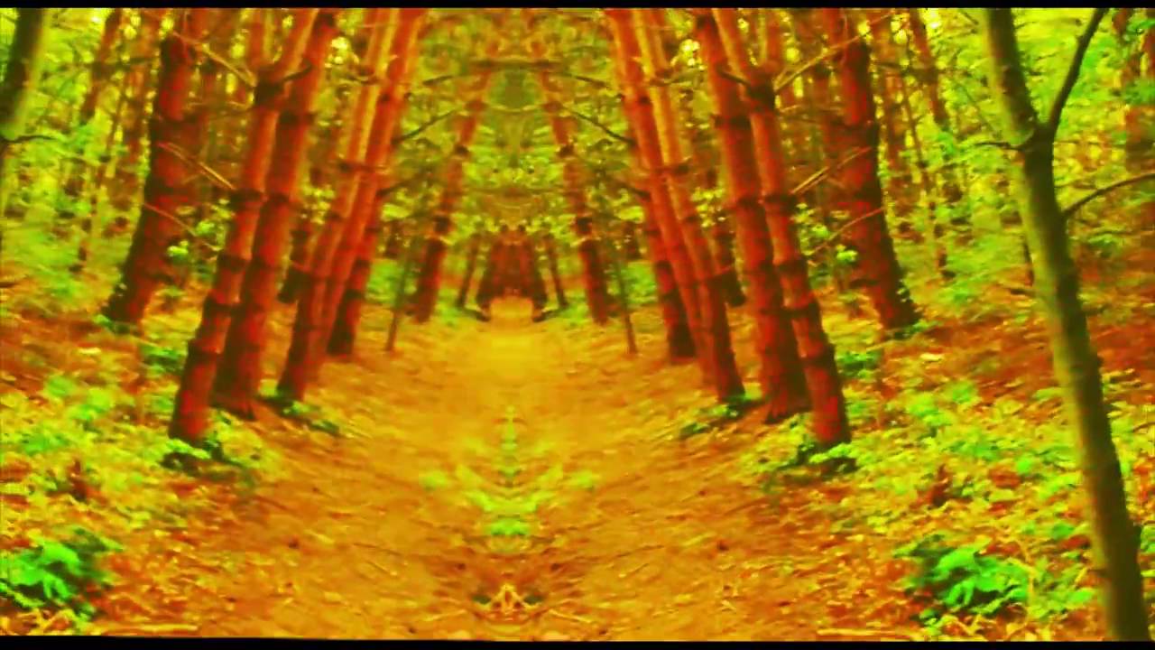 Trippy Trees