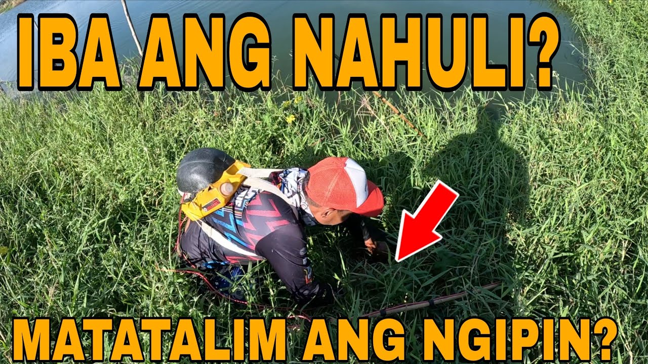 Iba ibang nilalang ang aming nahuli sa makapal na damo?