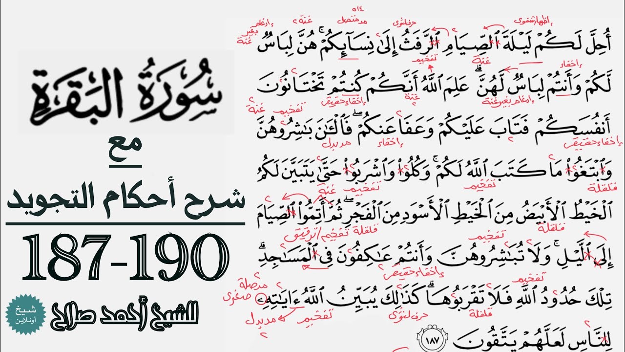 كيف تقرأ سورة البقرة مع شرح أحكام التجويد| 187-190