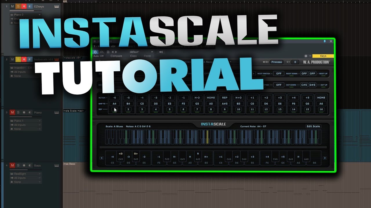 InstaScale Tutorial | Explore The World Of Scales