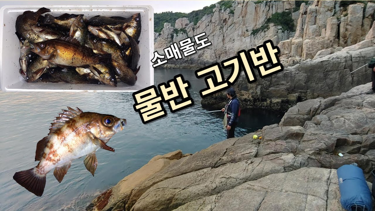 물반 고기반 - 소매물도 등대섬 볼락낚시
