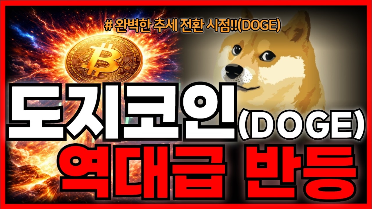 도지코인(DOGE) 🚨