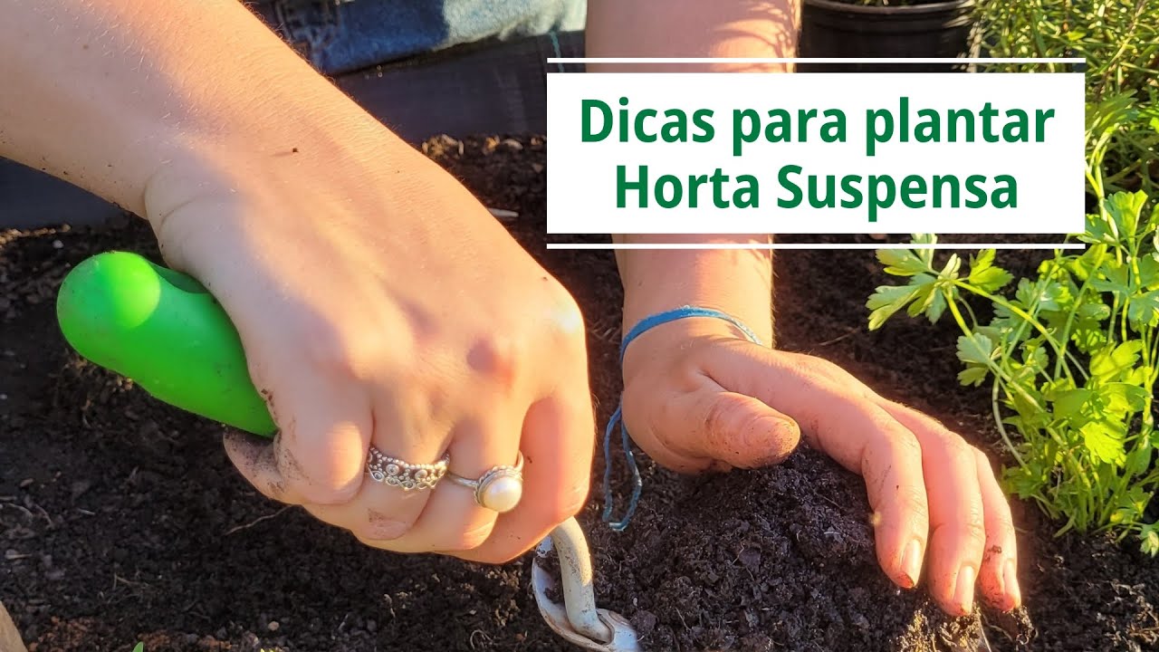 Como plantar na sua Horta Suspensa