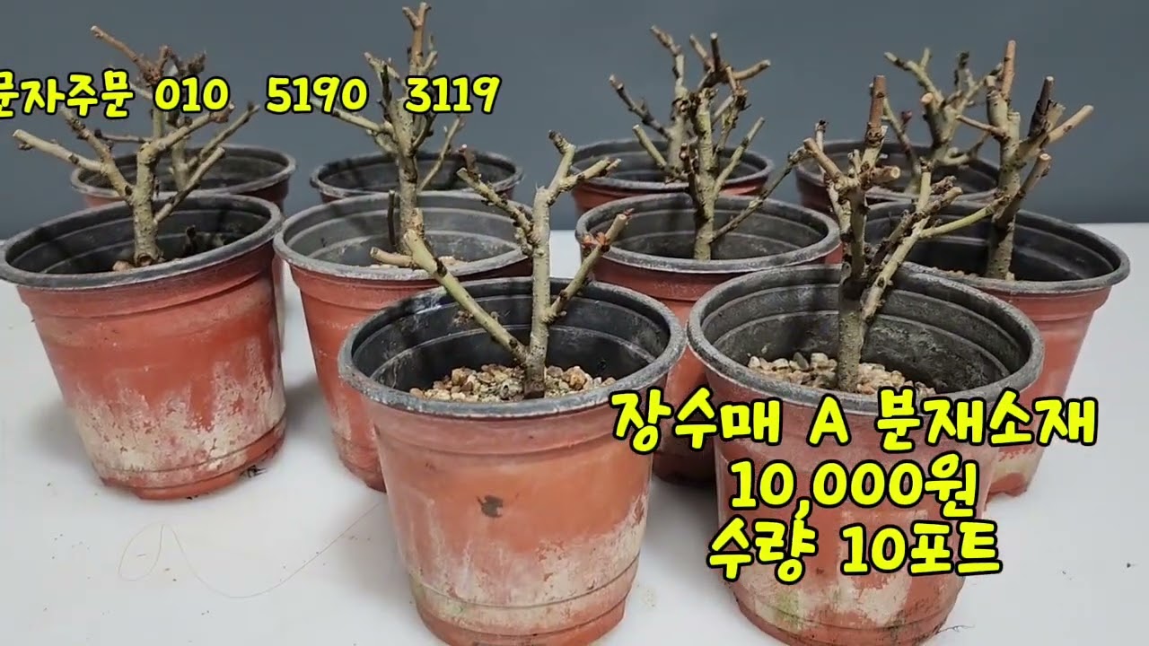 *판매종료*