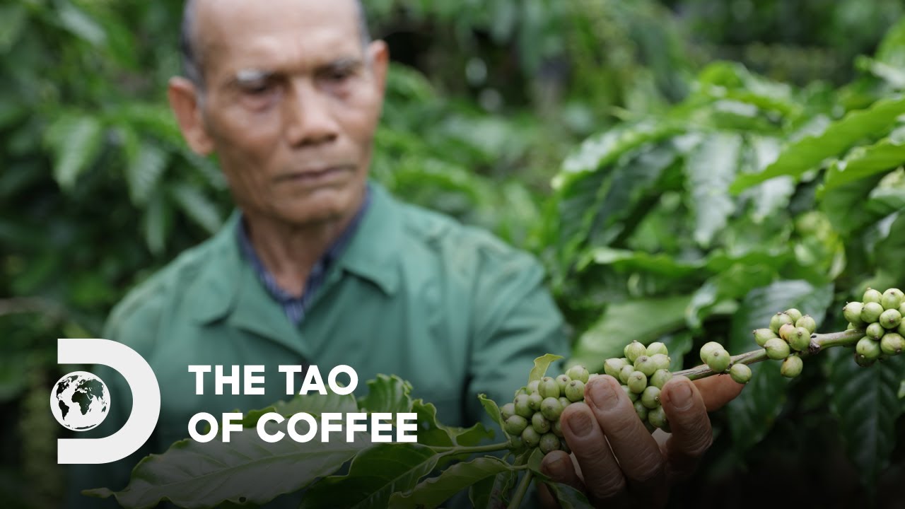 Trung Nguyen Legend: The Tao of Coffee | G7 Coffee | Discovery Channel Southeast Asia