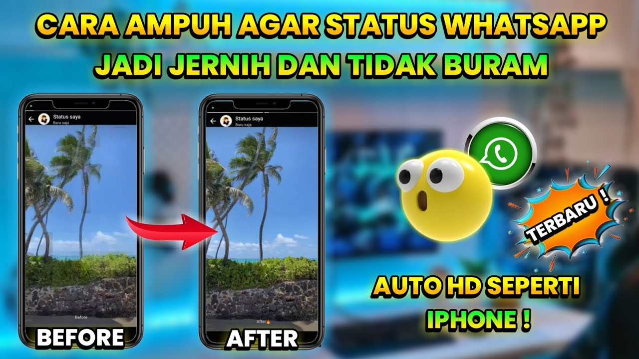 Cara Agar Video Story Whatsapp Jadi Jernih & Tidak Buram Terbaru ❗Gampang Banget