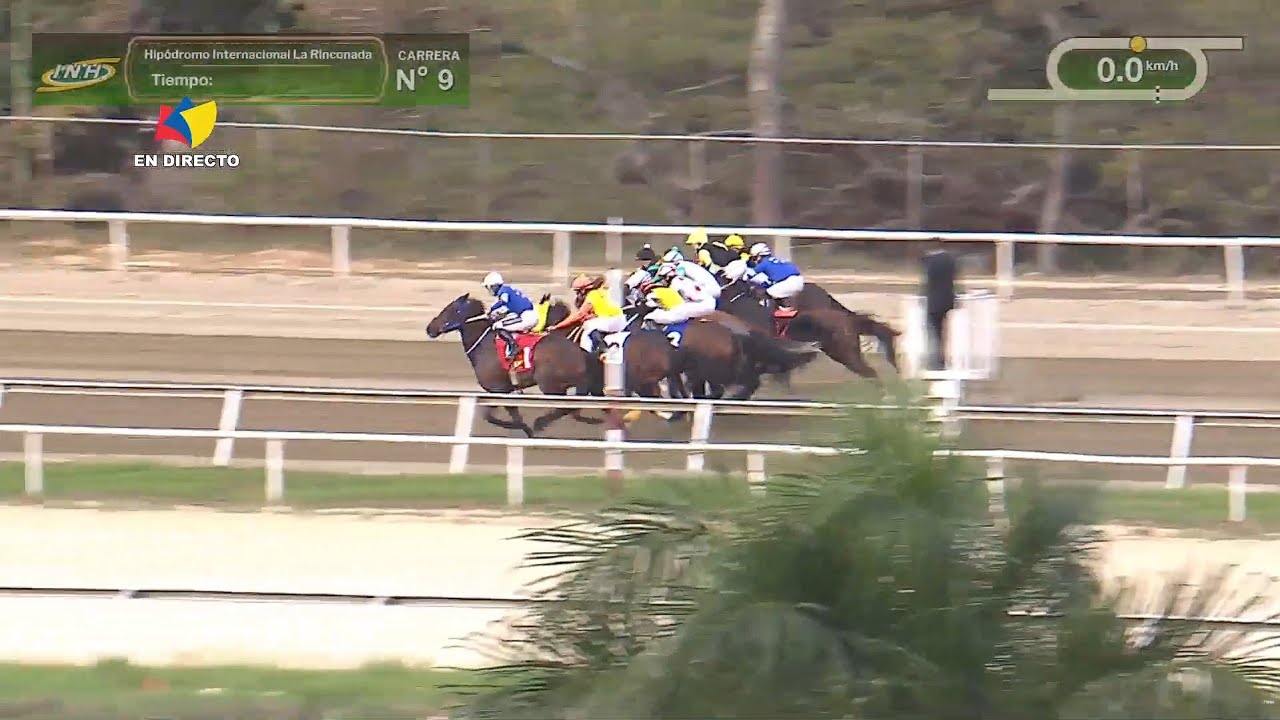 9ª. carrera | 5ª. válida | KLEOBULE | Hipódromo La Rinconada | Reunión 05 | 2026