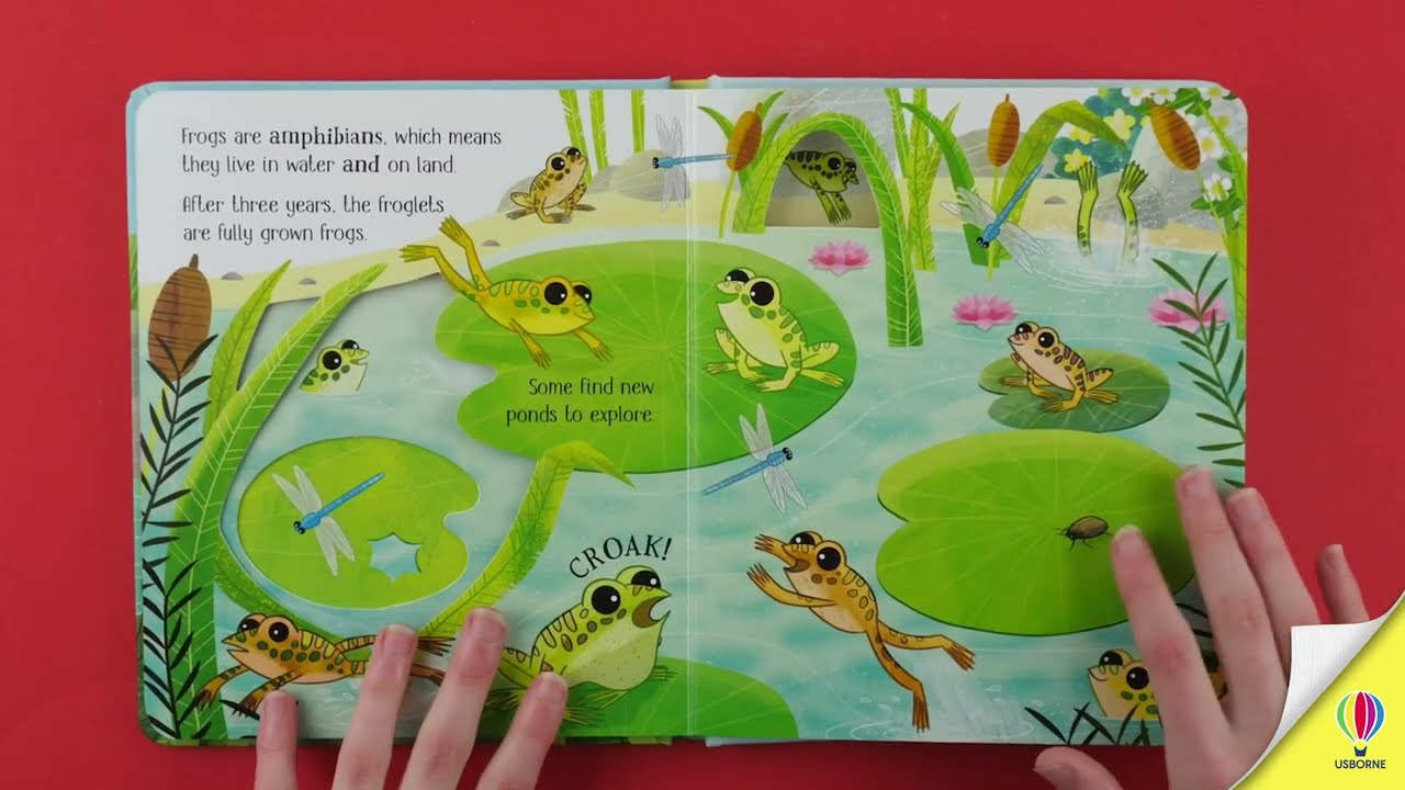 One Little Frog - Usborne Lifecycles