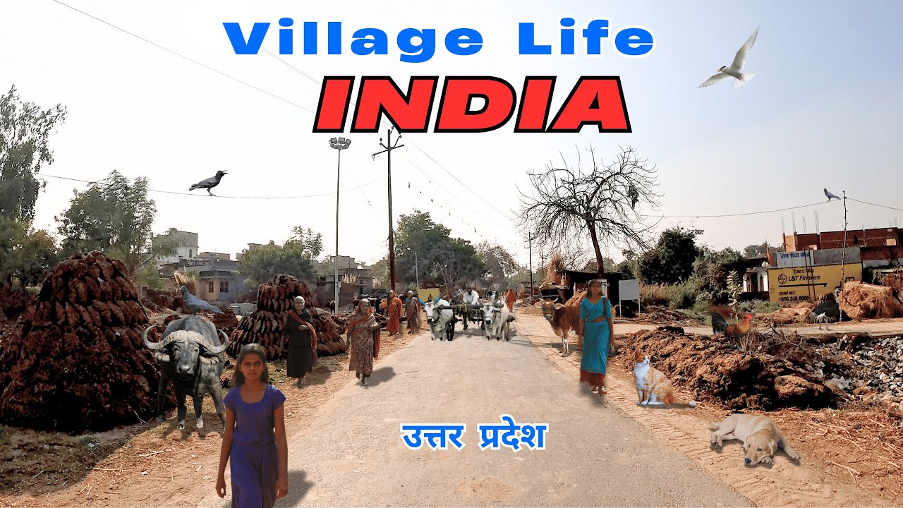 India 🇮🇳 Best Life | मेरा गाँव | उत्तर प्रदेश  | गाँव का जीवन |  | Village Life | 4K HDR |