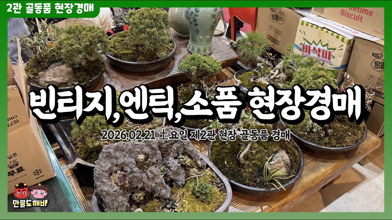 [🔵LIVE 생방송] 만물도깨비👺-제2관경매장 토요일 빈티지,엔틱,소품 현장경매 실시간생중계
