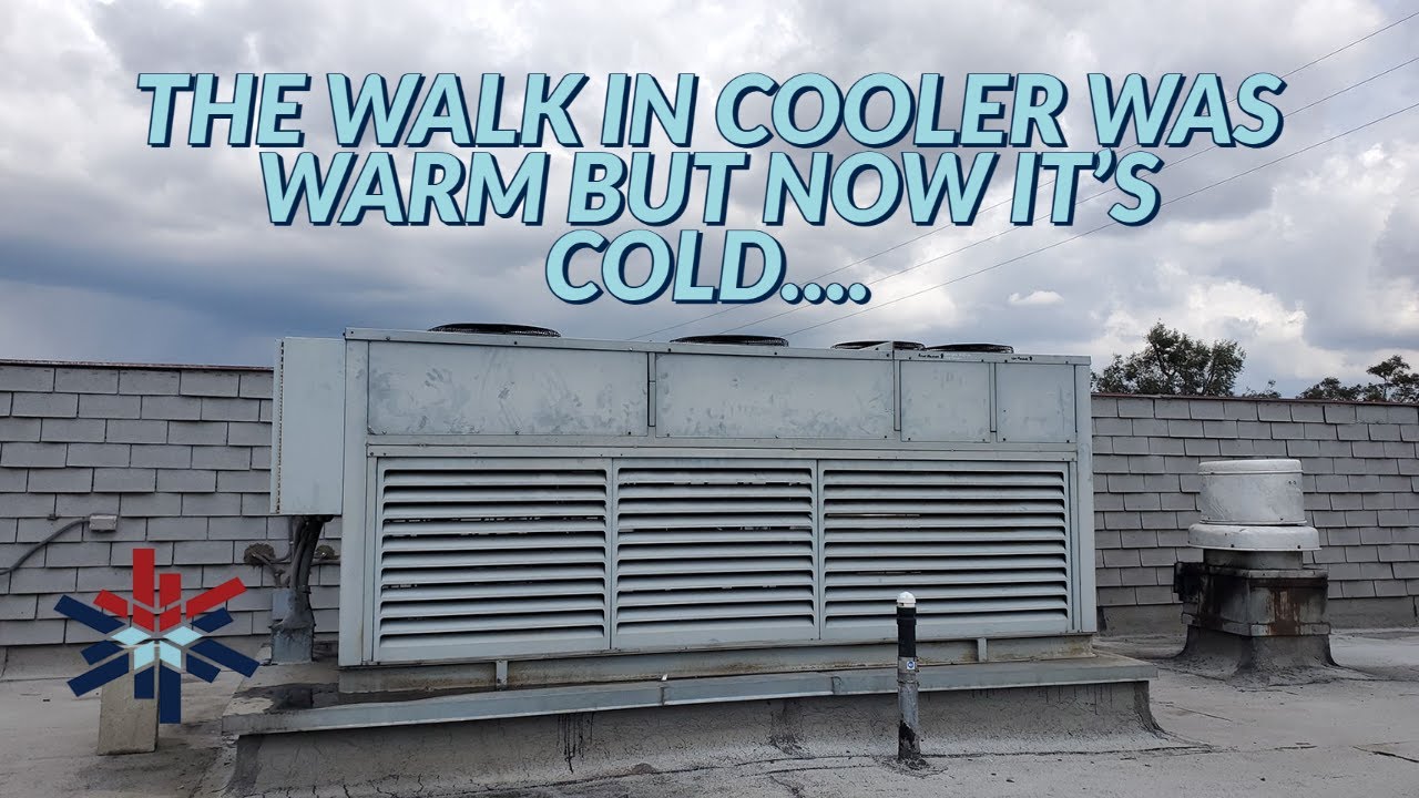 THE WALK IN COOLER WAS WARM BUT NOW IT'S COLD