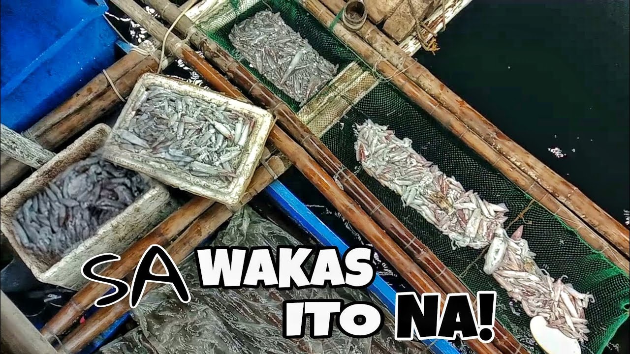 JACKPOT!! sa mga pusit simula unang Arya hanggang huling arya |masbate.