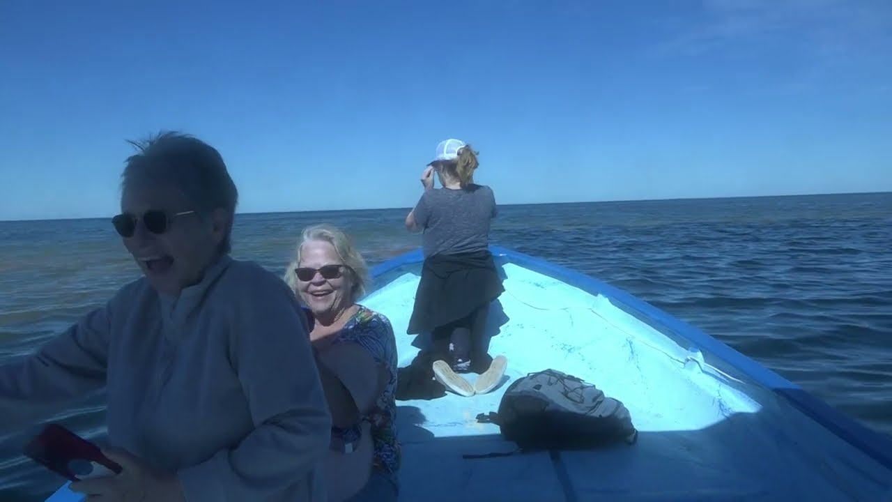 Loreto BCS watching Blue and Humpback whales