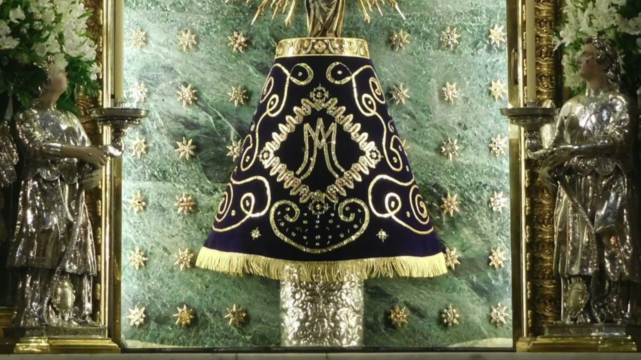 Descripción técnica realizada por Maria Teresa Ortega del manto que luce la Virgen del Pilar  Pasc