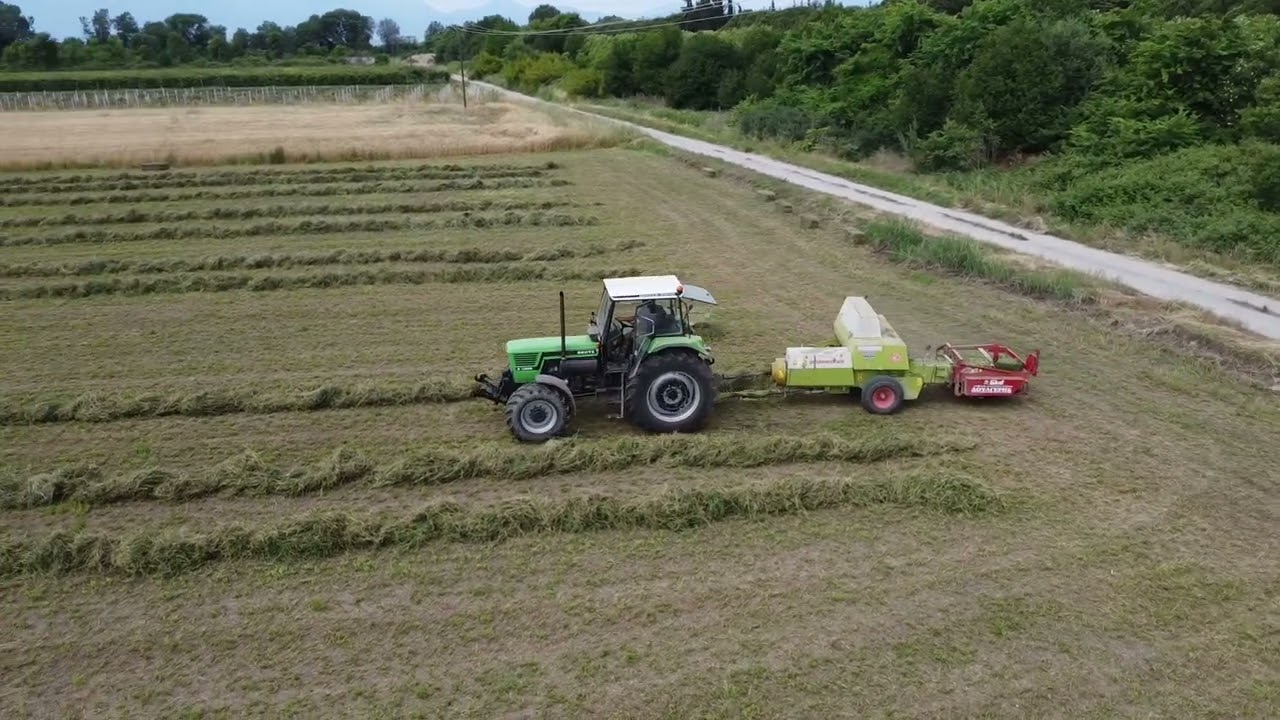Deutz D10006 with claas markant 65 & Deutz D7006 & Steyr 768
