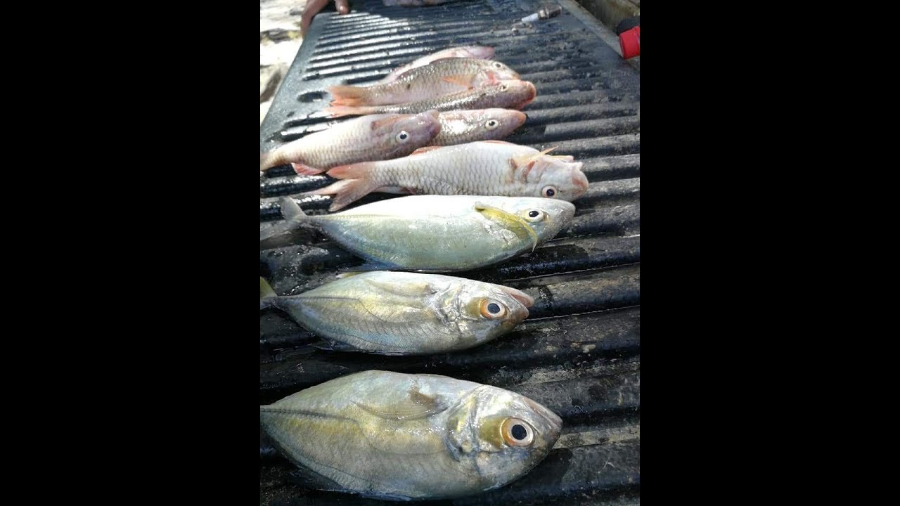 Fishing at Mont Choisy