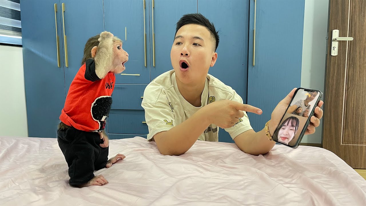 Cubis the Monkey suddenly gets a call from Aunt!