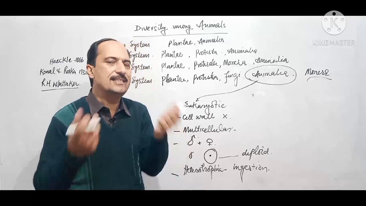Diversity among animals, Classification, in URDU/ HINDI