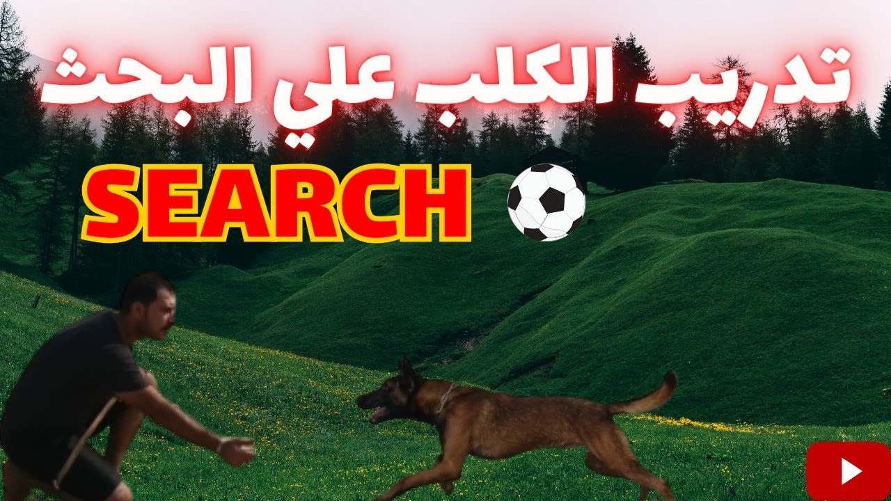 تدريب الكلب علي امر البحث مع كابتن شريف شحاته