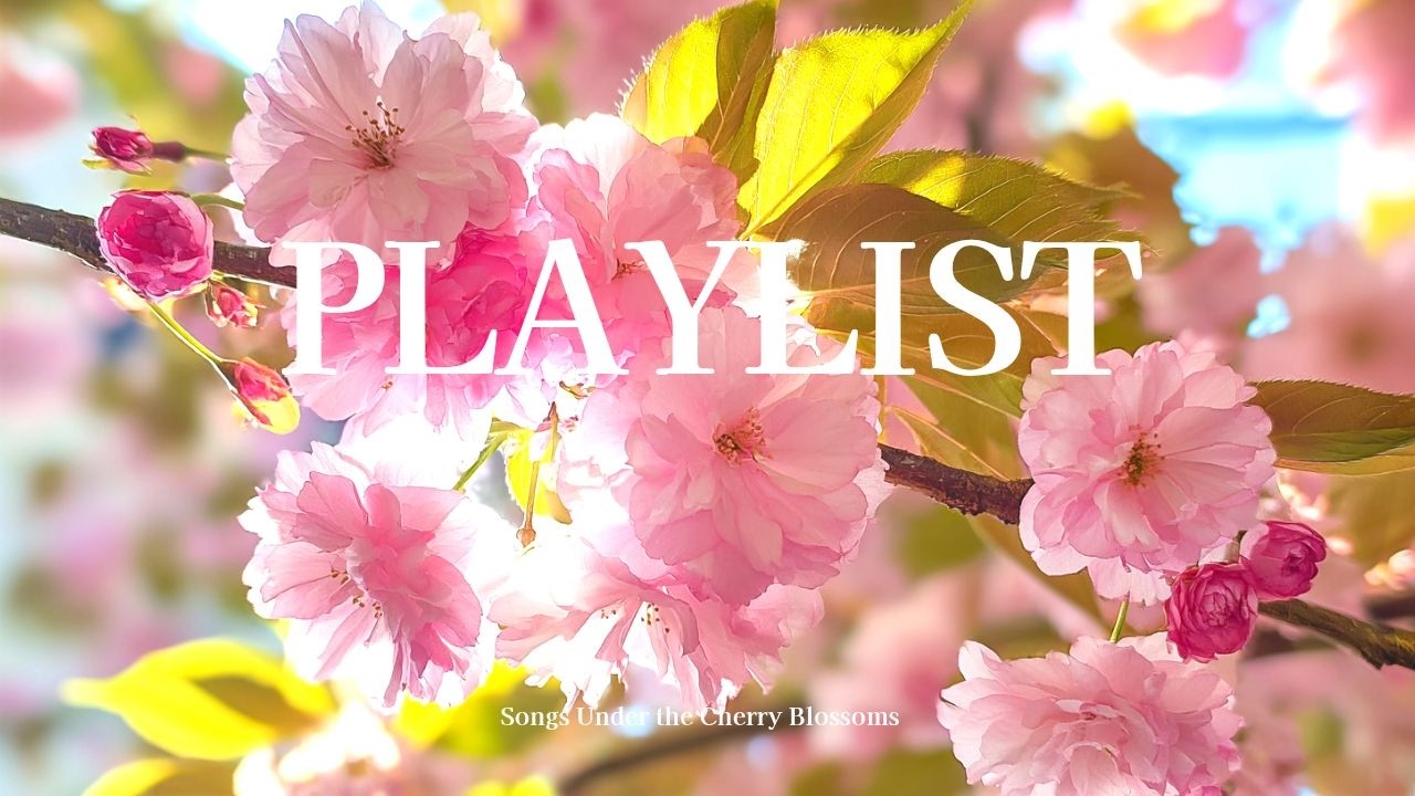 [playlist] 벚꽃, 너 그리고 나🌸 몽글몽글 설레는 봄 플레이리스트ㅣ카페에서 듣기좋은 노래