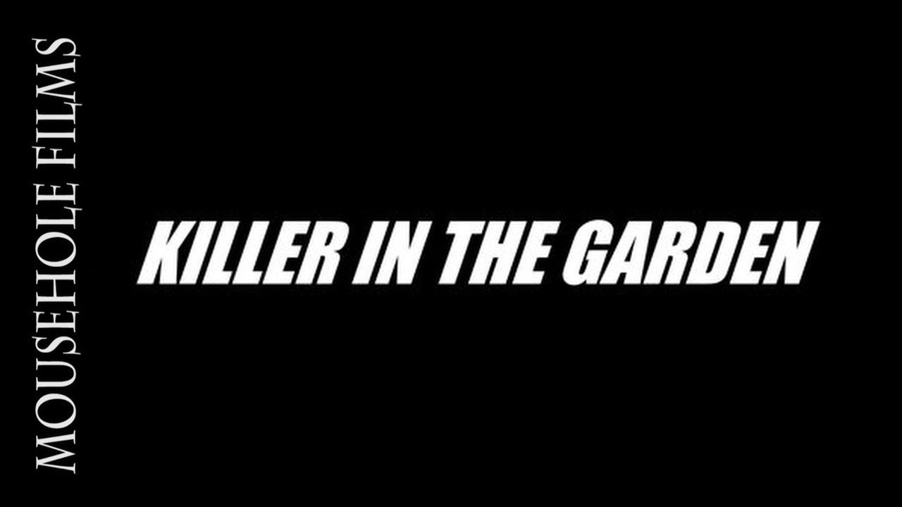 Filming Wildlife | Sparrowhawk | Lockdown Diaries Episode 2 | killer In The Garden