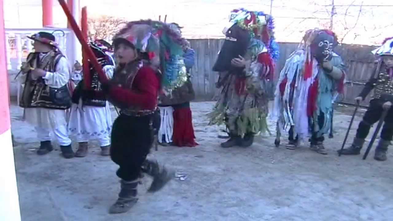 Capra de la Stejaru