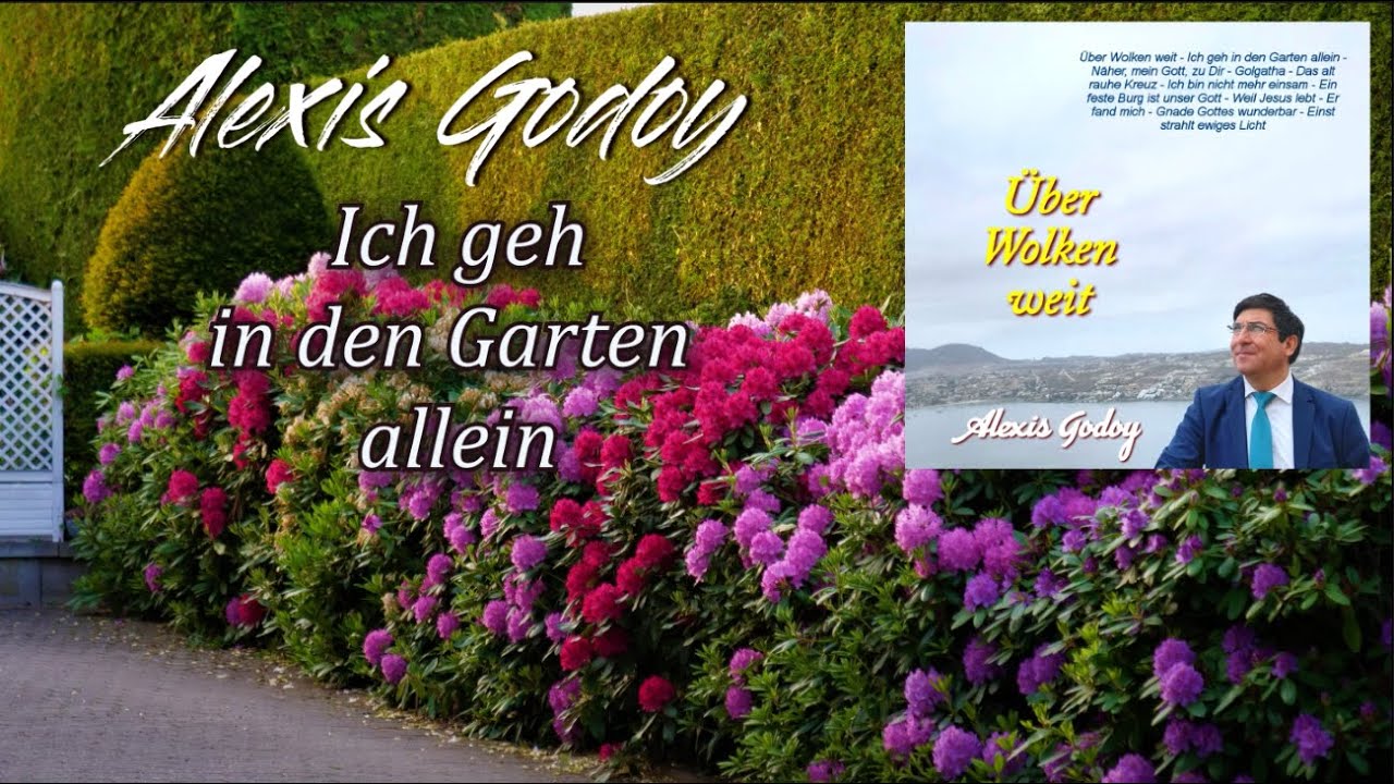 Alexis Godoy / Über Wolken weit