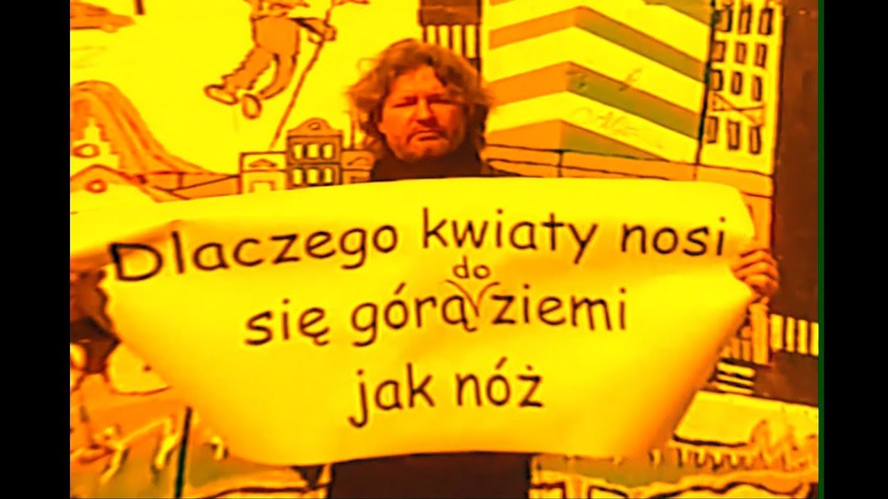 MORIS BLN - PRZECZNICE (Official Video)