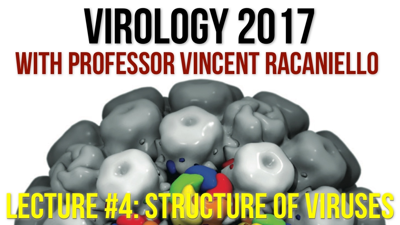 Virology Lectures 2017 #4: Structure of Viruses