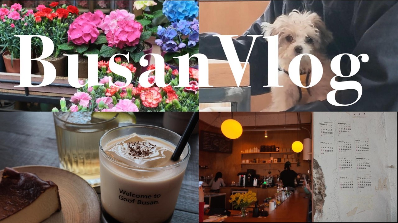 【釜山Vlog🇰🇷】春の韓国☘️田浦カフェに心を奪われた☕️