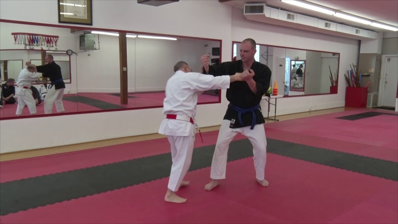 Troy J Price: Part-One Combative Flow - Intercept Hands into Strikes, Arm Bar, Arm Drag & Neck Lock
