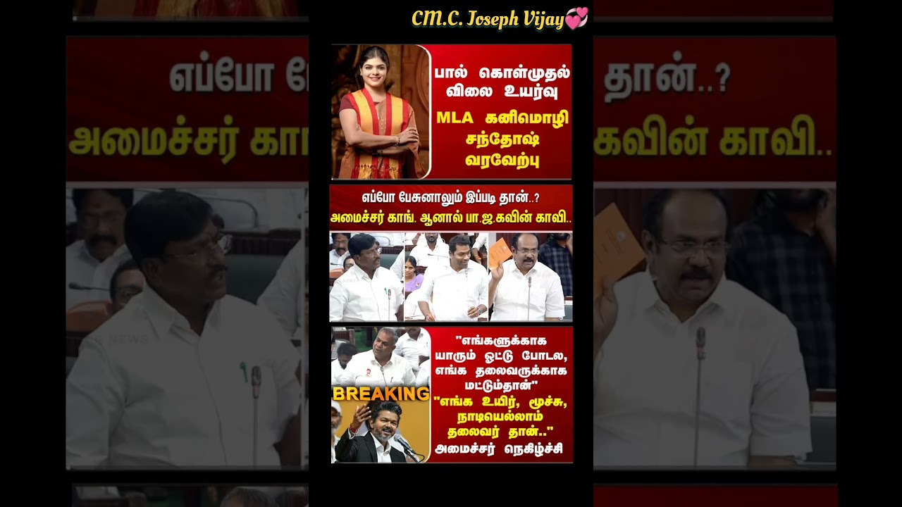 TVK Thalapathy VijayAnna | #tvk#cmotamilnadu #tamil#breakingnews#thalapathy#vijay#news