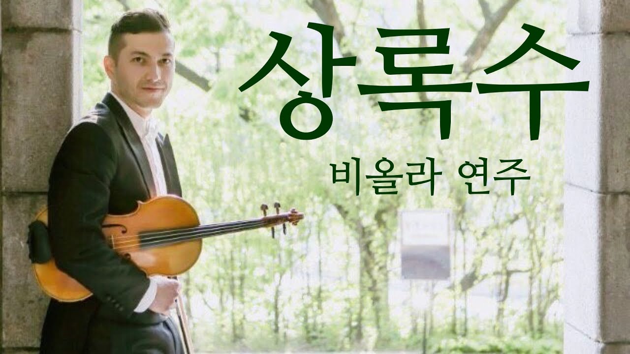 상록수 [김민기] 안톤강 - 비올라 & 피아노 연주